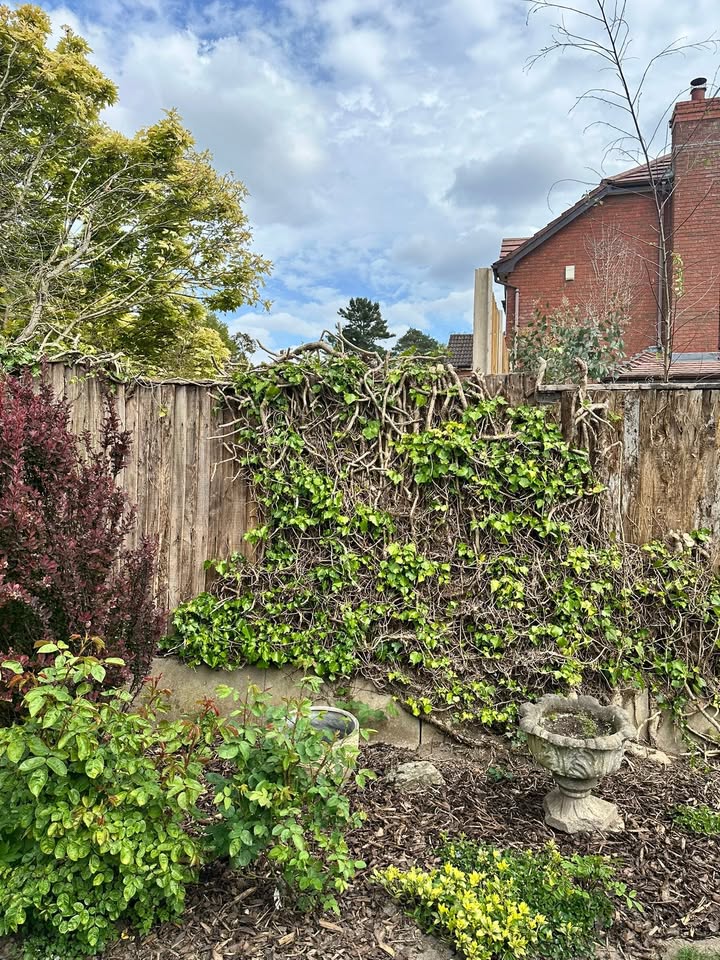 Adam’s Acre
